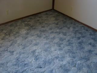 carpet