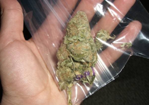 ounce of weed in bag. +does+1+gram+of+weed+look+