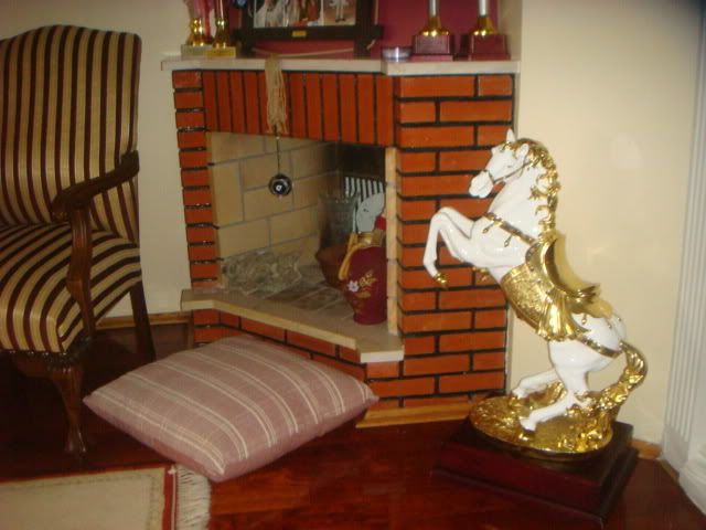 DSC00481.jpg