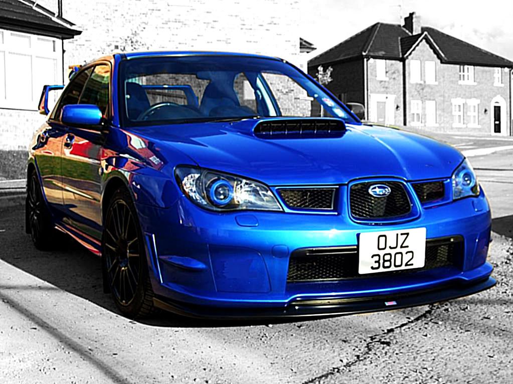 hawkwithnewplate007-2-1.jpg
