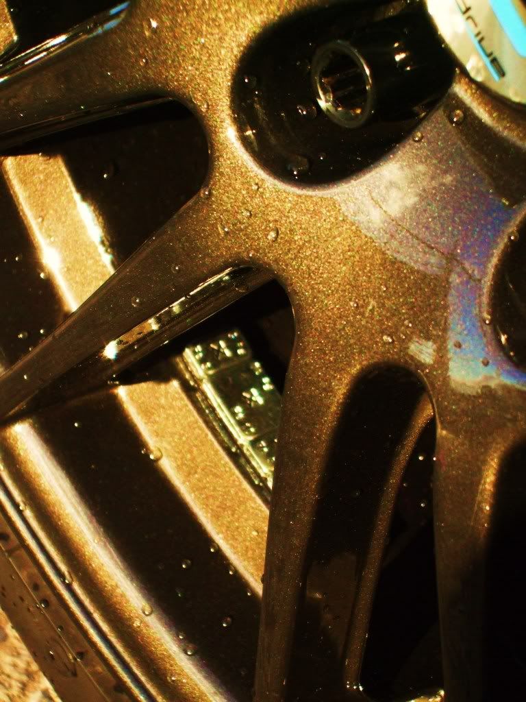 hawkwithnewplate035.jpg