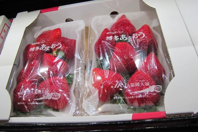 photo IMG_8418.jpg
