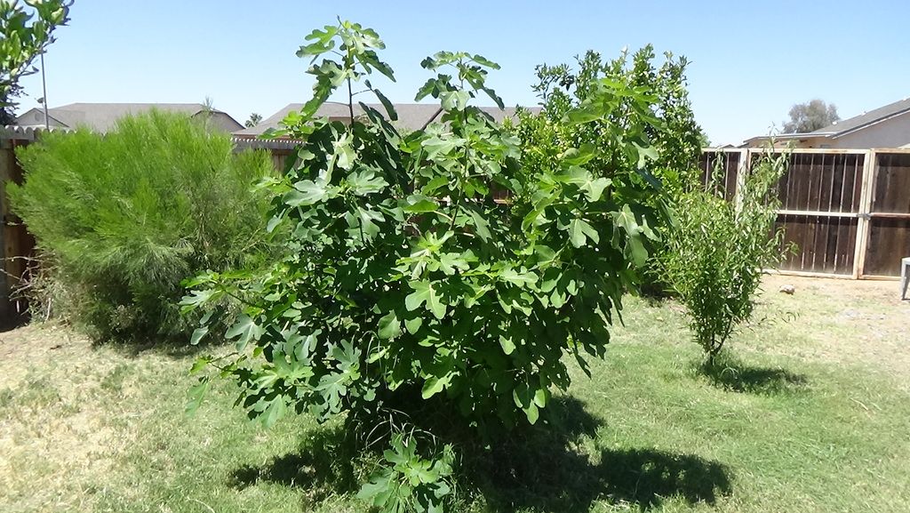 [DSC00307_zpsfr0hpgph]