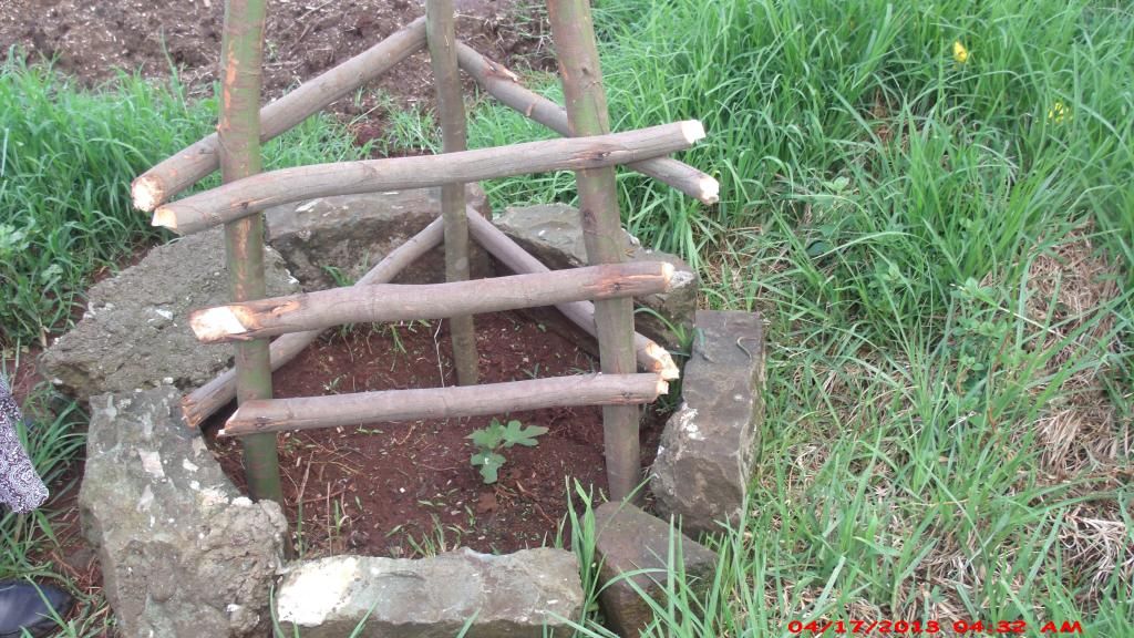 [GEDC1382_zps5701d557]