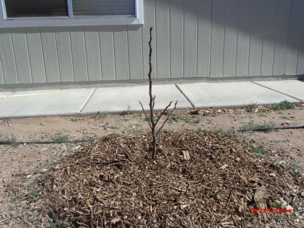 [GEDC1895_zps89d4a1d3]