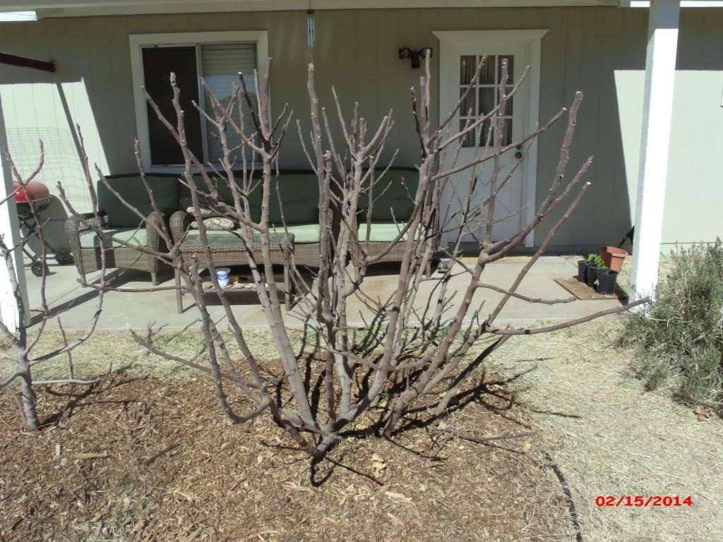 [GEDC1898_zps0cb9a8d5]