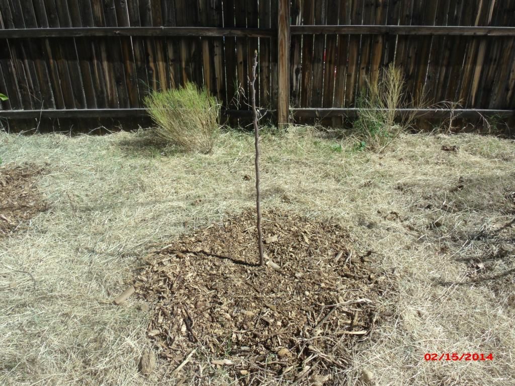 [GEDC1899_zps81447648]