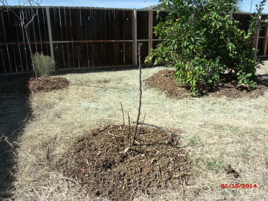 [GEDC1902_zps8c3684a9]