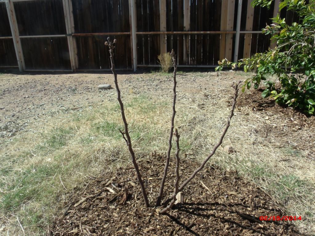 [GEDC1904_zps22bbd16a]