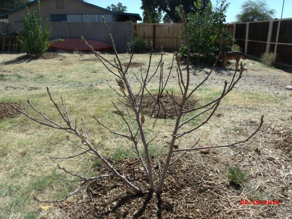 [GEDC1907_zps3838617d]