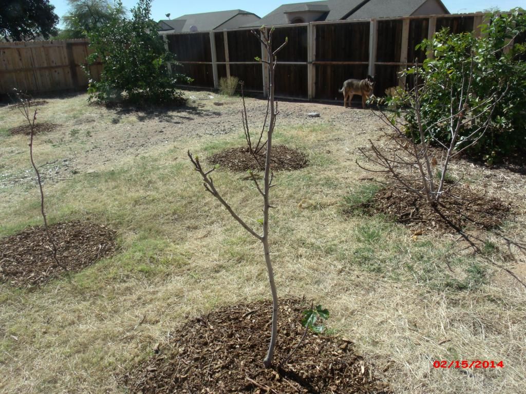 [GEDC1909_zpsc1cbf699]