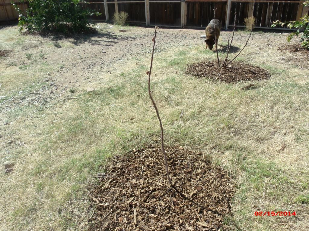 [GEDC1911_zps436a9192]