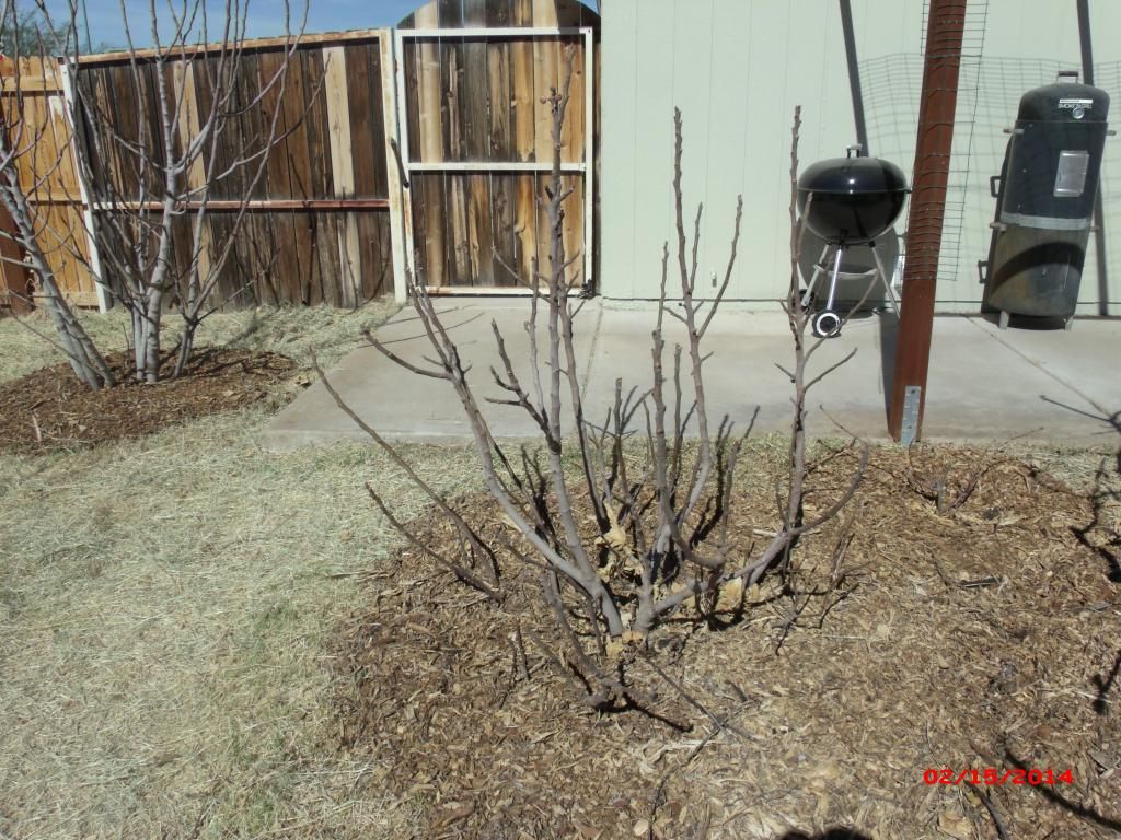 [GEDC1914_zps556544d6]