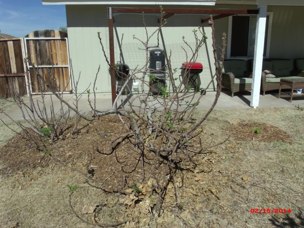 [GEDC1915_zpscf454b35]