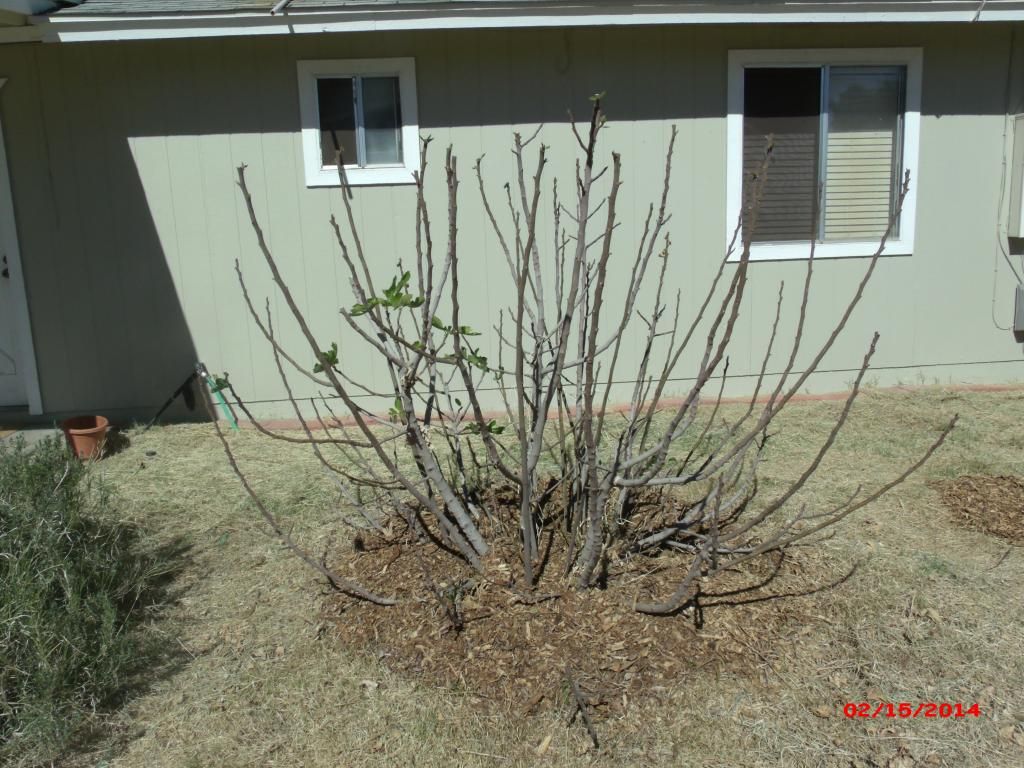 [GEDC1922_zps95349ebc]