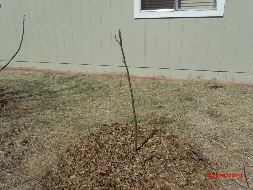 [GEDC1924_zpse96bd409]