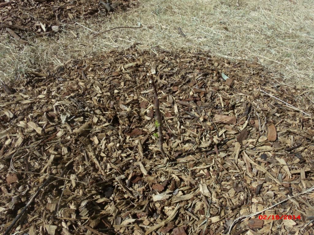 [GEDC1925_zps8ac7c067]