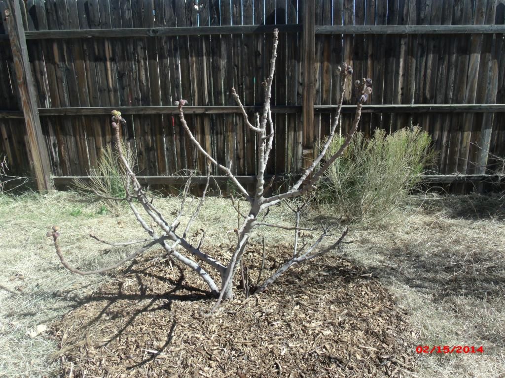 [GEDC1928_zps61d3751e]