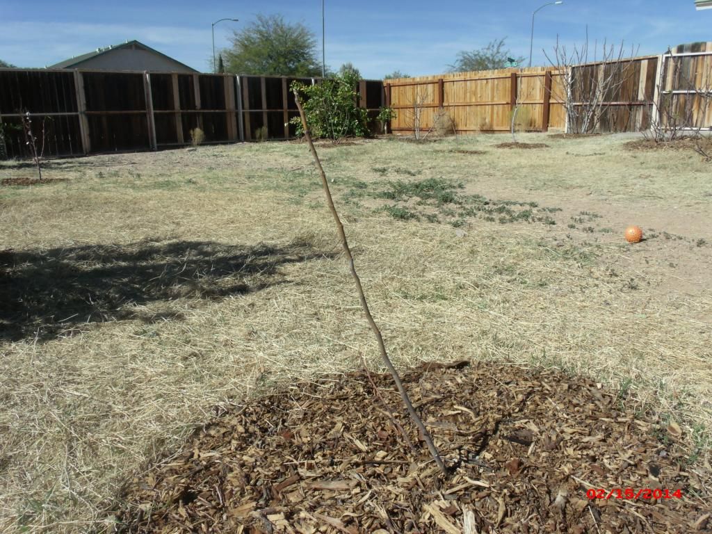 [GEDC1930_zps7b1c6e89]