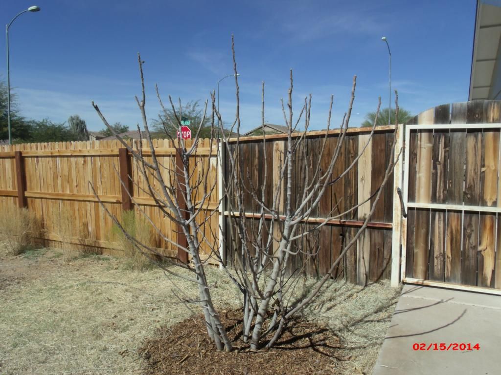 [GEDC1932_zpse93b90f0]