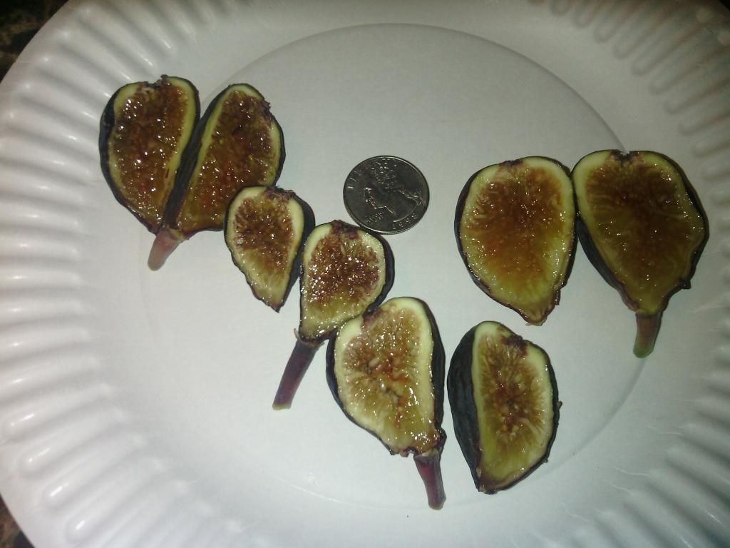 [IMG_20131117_133335_zpsb5ed0d30]