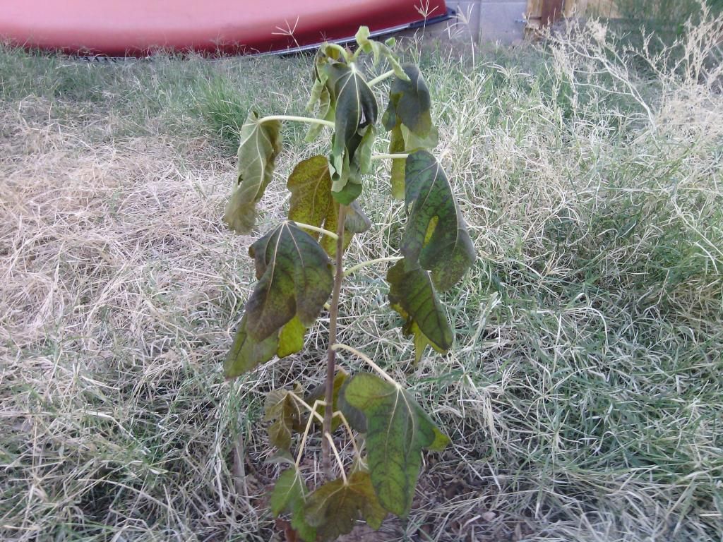 [IMG_20131206_165211_zps1ecb5f5f]