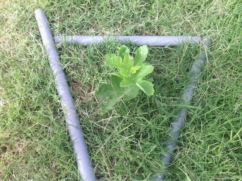 [IMG_20140511_073104_zps35d69992]