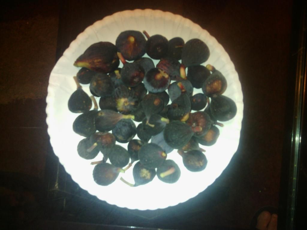 [IMG_20140708_193003_zps1739d8e0]