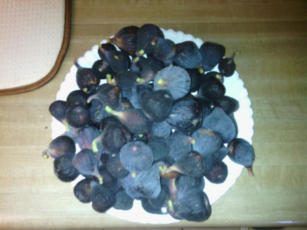 [IMG_20140711_180026_zps675f7888]