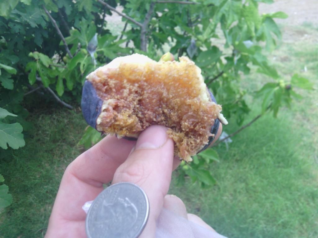 [IMG_20140713_174606_zps763b3060]