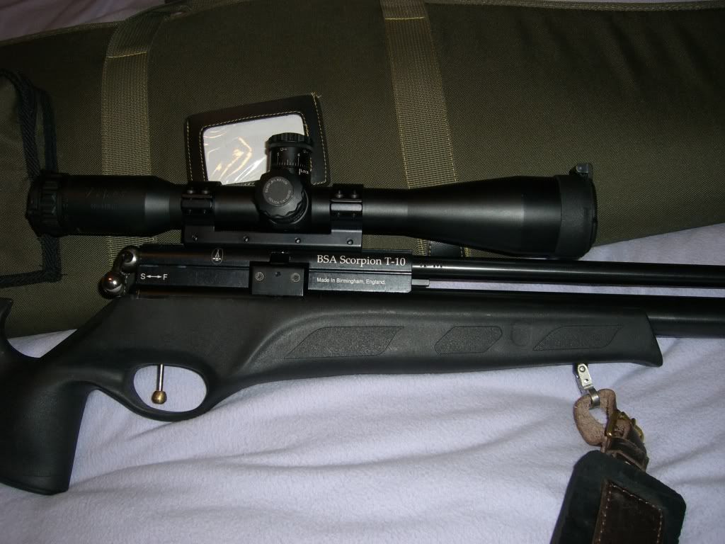 Pic2.jpg