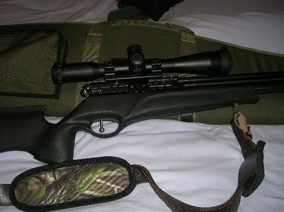 Pic3.jpg