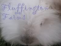 Fluffington Farms