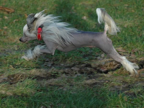walk09.jpg