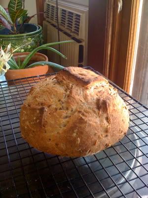 5 Grain Whole Bread 4/11/09