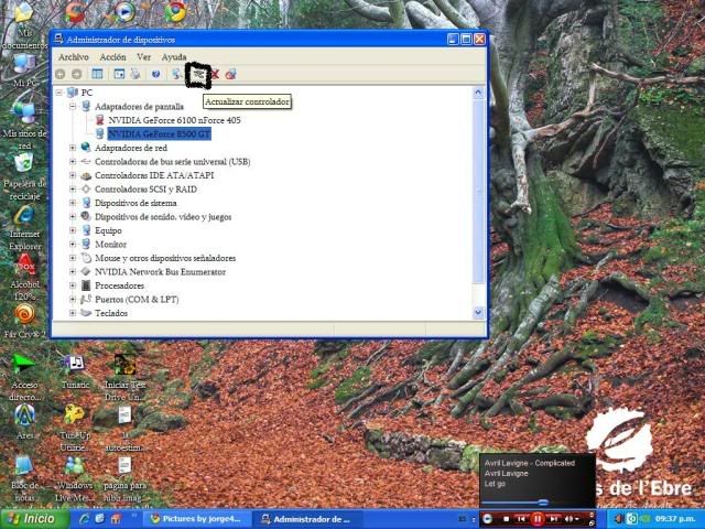 actualizar actualizar