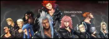 Organization XIII Sig Pictures, Images and Photos