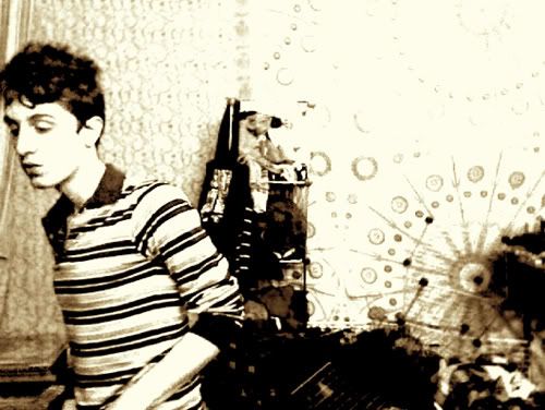 Beach Fossils