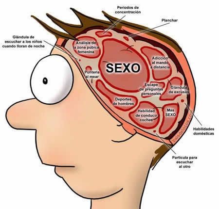 Brain hombres Pictures, Images and Photos
