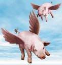 Pigs fly Pictures, Images and Photos