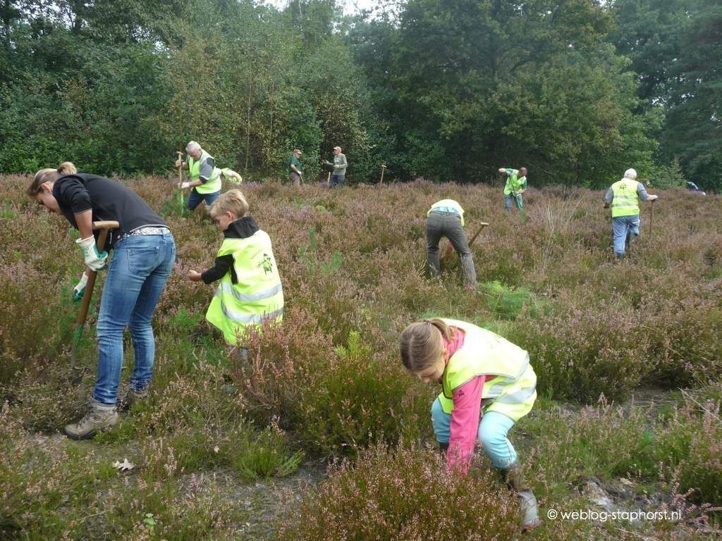 Algemeen artikelen van september 2015 Kabinet bedden timmerman