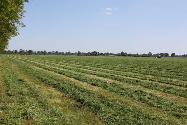 Boeren druk in de weer met gras