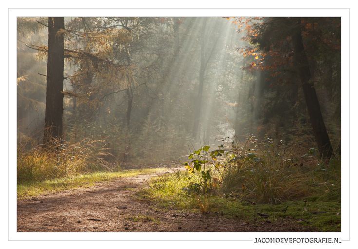 Herfst 2012 door Jaco Hoeve