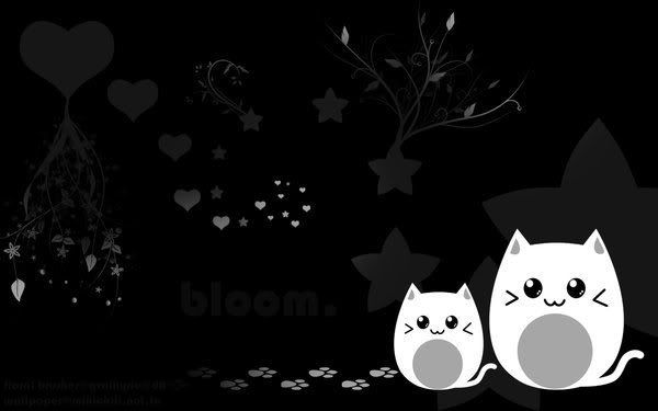 wallpaper cats. White cats wallpaper Image