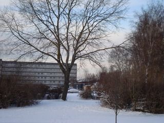 Denmark,winter,snow