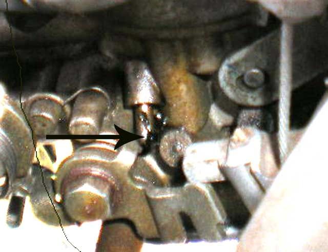 Posted Image