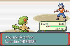 [PokeCommunity.com] THE OFFICIAL NUZLOCKE CHALLENGE THREAD
